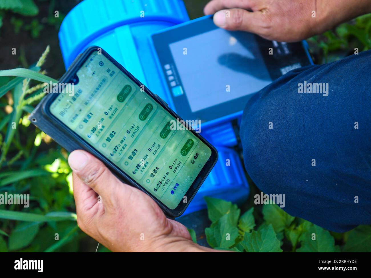 220710 -- URUMQI, July 10, 2022 -- A farmer remotely controls the drip irrigation facilities in a cotton field with his smartphone in Manas County, northwest China s Xinjiang Uygur Autonomous Region, June 30, 2022. Summer harvest in northwest China s Xinjiang Uygur Autonomous Region is now in full swing. Modern agricultural science, technology and machinery have been applied in the region to help local farmers increase yield and attain a bumper harvest.  CHINA-XINJIANG-FARMLAND MANAGEMENT-SUMMER HARVEST-TECHNOLOGY APPLICATION CN WangxFei PUBLICATIONxNOTxINxCHN Stock Photo