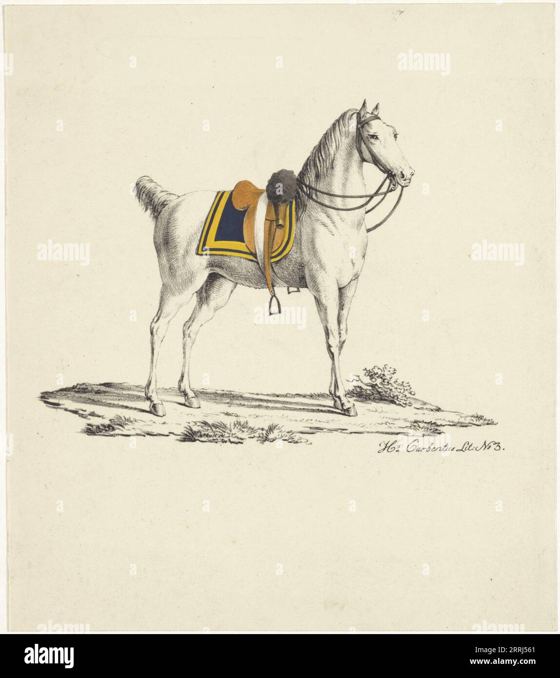 Horse with saddle and bridle, 1809-1854. The horse wears a bridle without a noseband, and double reins. Stock Photo