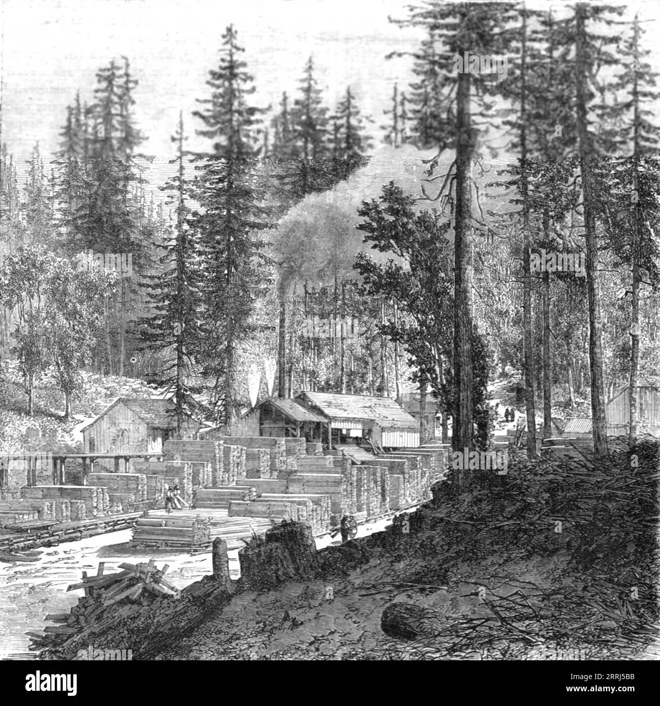 'Saw mill in a forest of pines.; Ocean to Ocean, the Pacific railroad