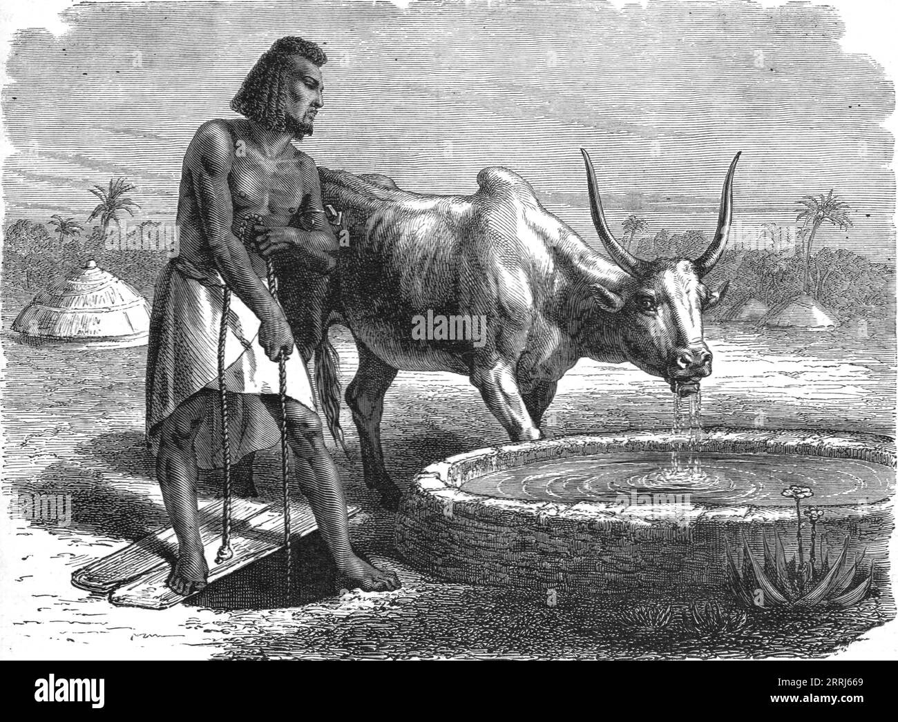 'Samhar peasant at a well; A journey through Soudan and Western Abyssinia, with Reminiscences of Captivity', 1875. From, 'Illustrated Travels' by H.W. Bates. [Cassell, Petter, and Galpin, c1880, London] Stock Photo