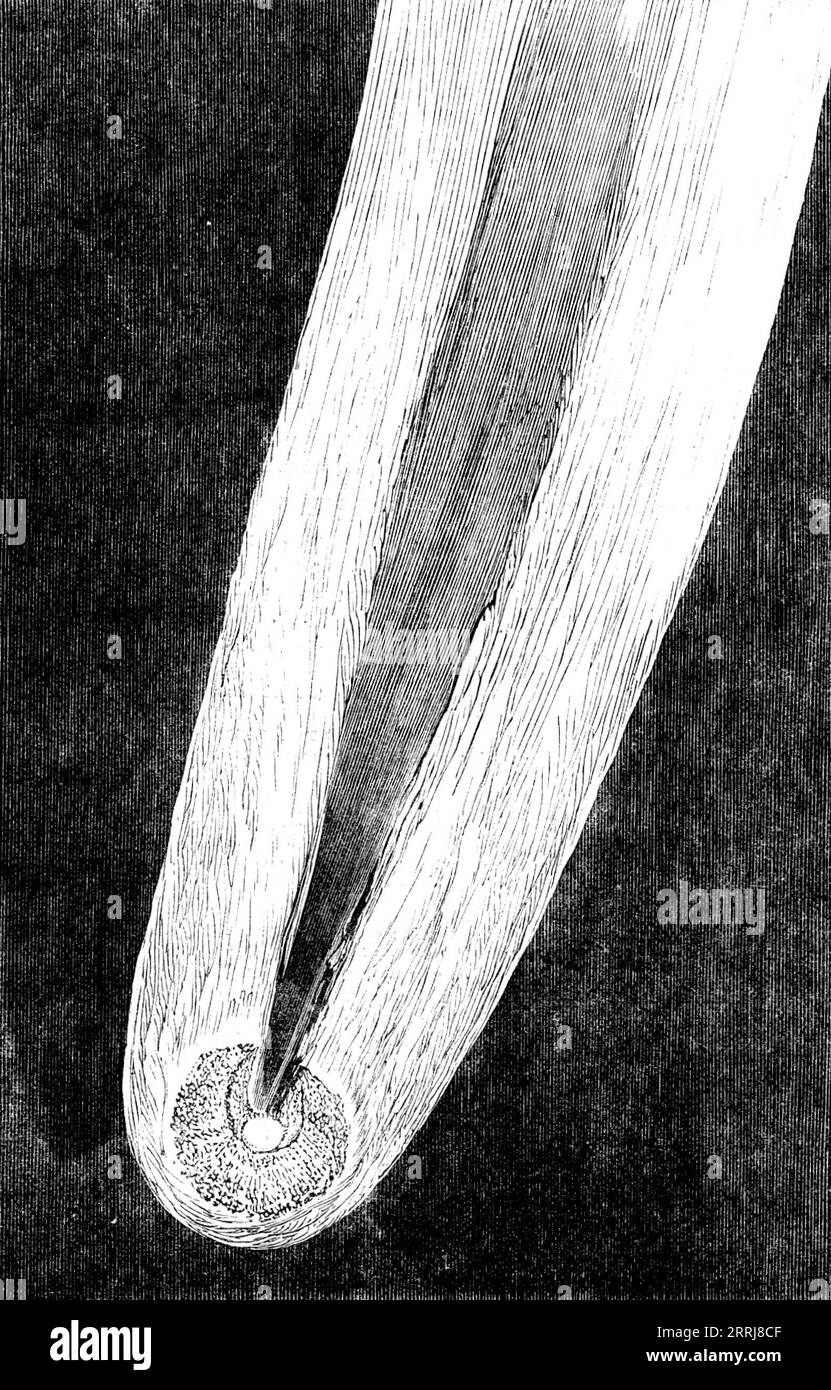 Telescopic Appearances of Donati's Comet, as seen from Slater's Observatory, on the Morning of Oct. 1, 1858. Drawing of '...the Comet as it appeared on the morning of October 1st, at five o'clock, through the 15-inch 20-feet refractor of Mr. Slater, at the Observatory, 136, Euston-road, London. The nucleus was very bright, also the beautiful circle of light that then surrounded it. This brush-like circle somewhat resembled the tail of a peacock when spread open. From the lowest part of the nucleus towards the tail there was an opening about 15&quot; wide, and the contrast of the dark sky throu Stock Photo