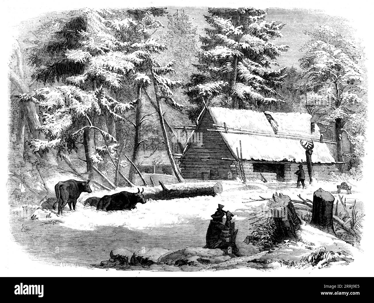 Lumbering in New Brunswick - Lumberman's Camp-house, [Canada], 1858. 'The lumbering business is the leading element of wealth in the province; and the sawmills, which are found collected at the mouths of all its rivers, as well as the building of ships, and the business of transportation to the mother country, give employment to a very large proportion of the population...The site for operations having been selected, a camp-house is erected and covered with the bark of trees. The floor of the cabin is made of small poles, and a sort of platform is raised for the general bed, which is composed Stock Photo