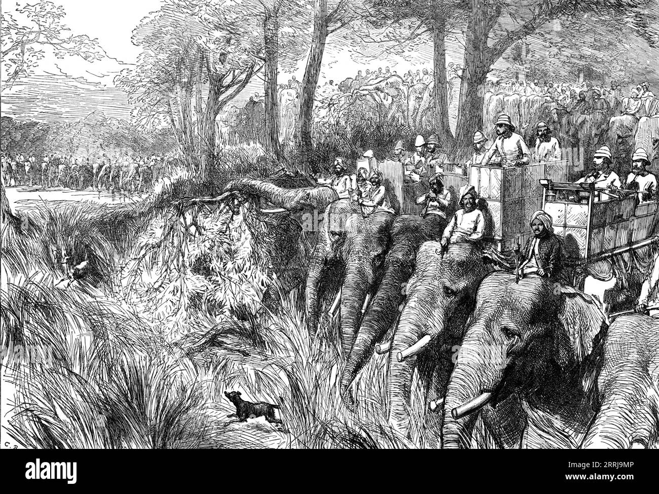Crossing a River in the Terai, 1876. The future King Edward VII hunting tigers in India. '...the elephant is very careful, feeling the ground with his trunk for the edge of the nullah, as in most cases it cannot be seen from the long grass. When the margin is reached he places both feet together, and they partly go down through the earth, which lets them down easily. The hind legs are bent to the ground in the attitude of a man on his knees. The trunk is then used to feel the bottom of the nullah to know if it is firm enough...the animal then steps cautiously across and begins the ascent on th Stock Photo