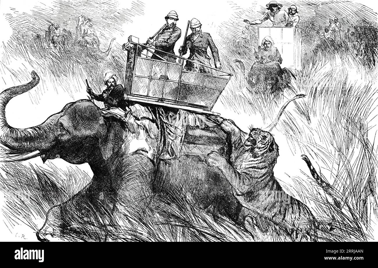 The Prince of Wales's Elephant charged by a Tiger, 1876. The future King Edward VII shoots tigers during a royal visit to India. 'The tigers, finding themselves hemmed in, rushed furiously round the circle, roaring loudly. The elephants were trumpeting, men shouting, and it was a scene of great confusion...the elephant ridden by his Royal Highness was attacked. Though a staunch animal, this elephant did not keep his front towards the tiger, but turned so as to receive the tiger upon his vast haunch. This movement sent the mahout and the other persons upon the elephant reeling backwards; but th Stock Photo