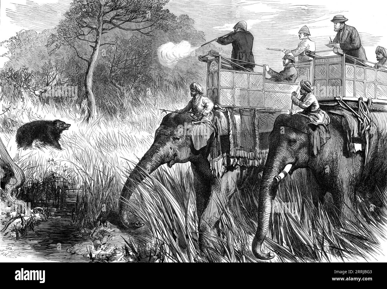 The Prince of Wales in the Terai: Shooting a Bear, from a sketch by one of our special artists,  1876. The future King Edward VII in India. 'The first bear got a bullet before his Royal Highness came up to it; but the second came out of the bit of long grass in the direction of the Prince, and it crossed the stream and was making off to a wood close at hand, when he got a clean shot. The hit was particularly good, the bullet entering and going right through the body at the chest, killing the animal instantly'. From &quot;Illustrated London News&quot;, 1876. Stock Photo