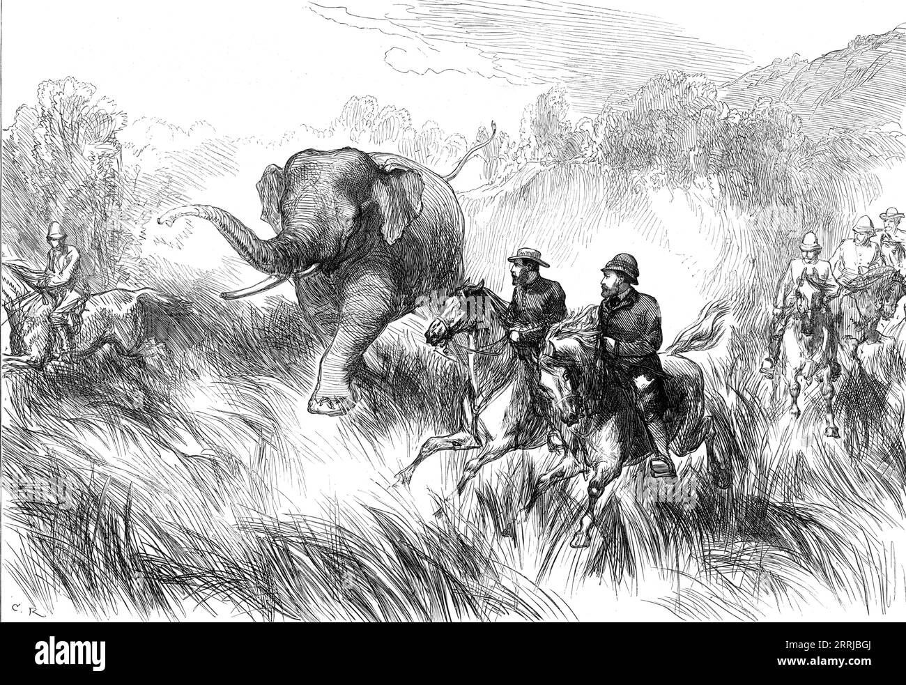 The Prince of Wales in the Terai: Mr. Rose chased by a Wild Elephant, from a sketch by one of our special artists, 1876. The future King Edward VII in India. 'This elephant chanced to be one which had broken its left tusk, a stump only remaining; but Mr. Rose [one of the Prince's suite] had a narrow escape, being for a moment almost within reach of the elephant's trunk'. From &quot;Illustrated London News&quot;, 1876. Stock Photo