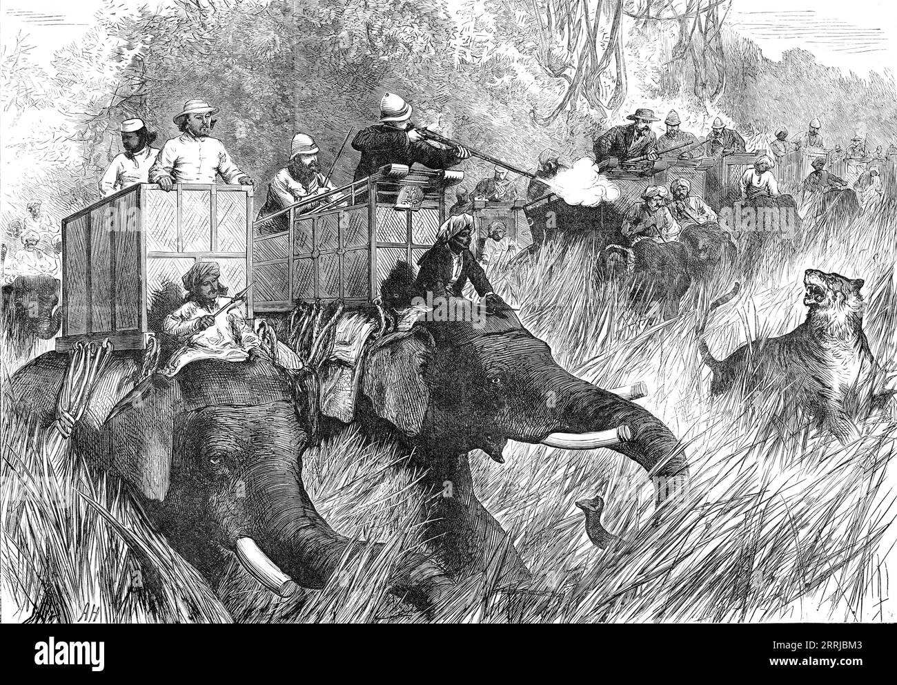 The Prince of Wales Tiger-Shooting with Sir Jung Bahadoor: the Critical Moment, from a sketch by one of our special artists,  1876. The future King Edward VII in India. '...the reeds and grass were so high as to rise above the heads of those in the howdahs...and the head of the shooter, who stands upright in front on the floor of the howdah, is certainly 17 ft. above the ground...Except for the elephants no man could go into such a place at all...but elephants are apt to lose their presence of mind and dignity of deportment when they come upon tigers in a swamp...[after she was shot]...the tig Stock Photo