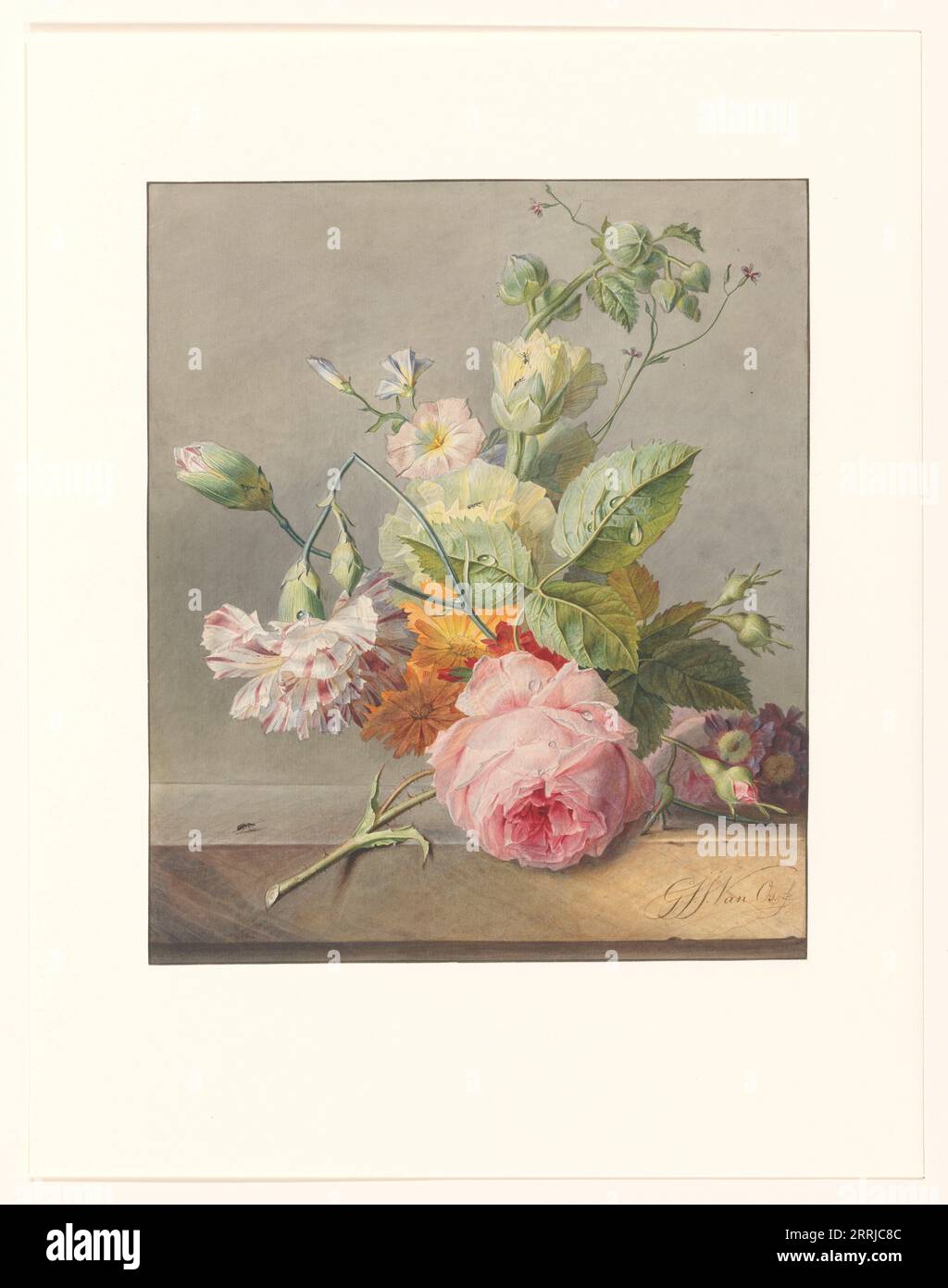 Floral Still Life, c.1800-c.1825. Georgius van Os painted his flowers in bright colours, with crisp contours and little attention to light and shade, entirely in keeping with the taste of his time. The uniform grey background also contributes to the still life's distinct character. The watercolour can be compared to the still lifes Van Os painted on porcelain in the famous factory in S&#xe8;vres near Paris. Stock Photo