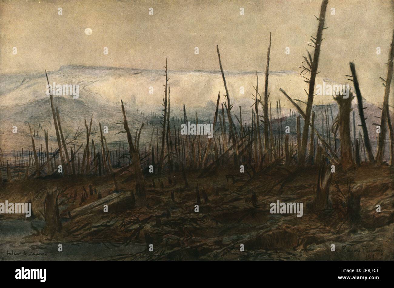 L'Album De La Guerre, volumes 1 et 2, grands livres reliés
