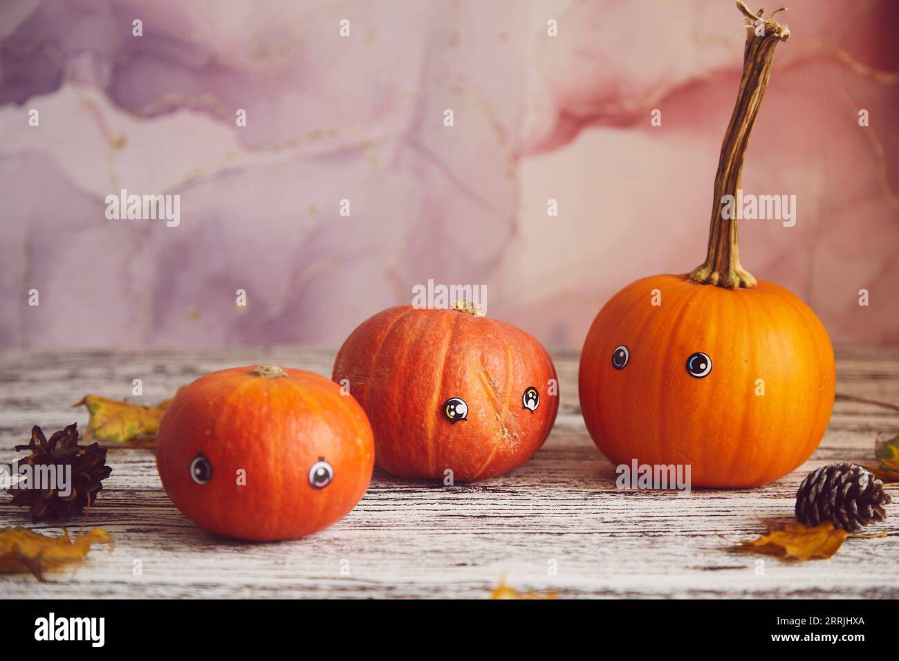 Pumpkins family with eyes. Festive halloween seasonal pumpkins. Autumn aesthetics Thanksgiving decorations. Stock Photo