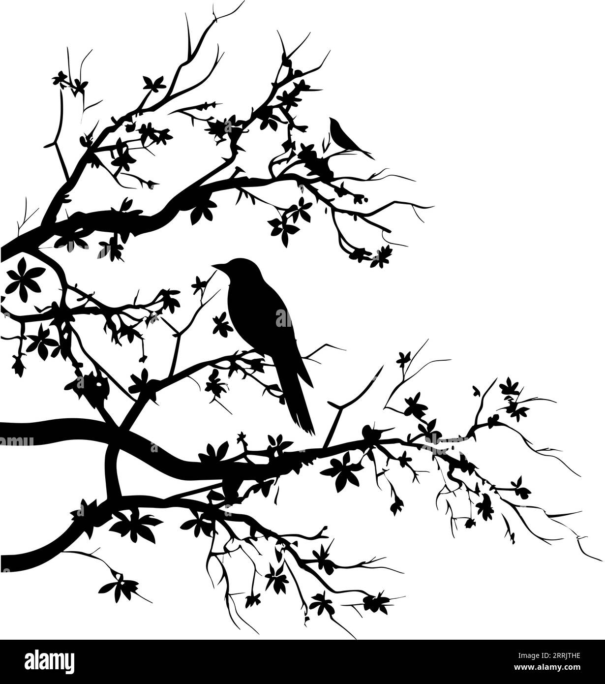 Birds silhouettes on branch, Vector. Birds couple silhouette on branch