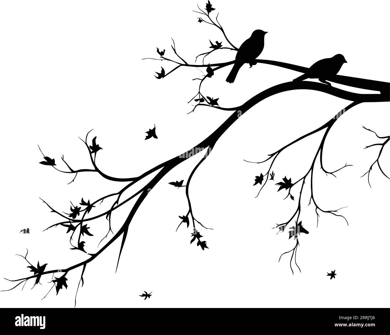 Birds silhouettes on branch, Vector. Birds couple silhouette on branch