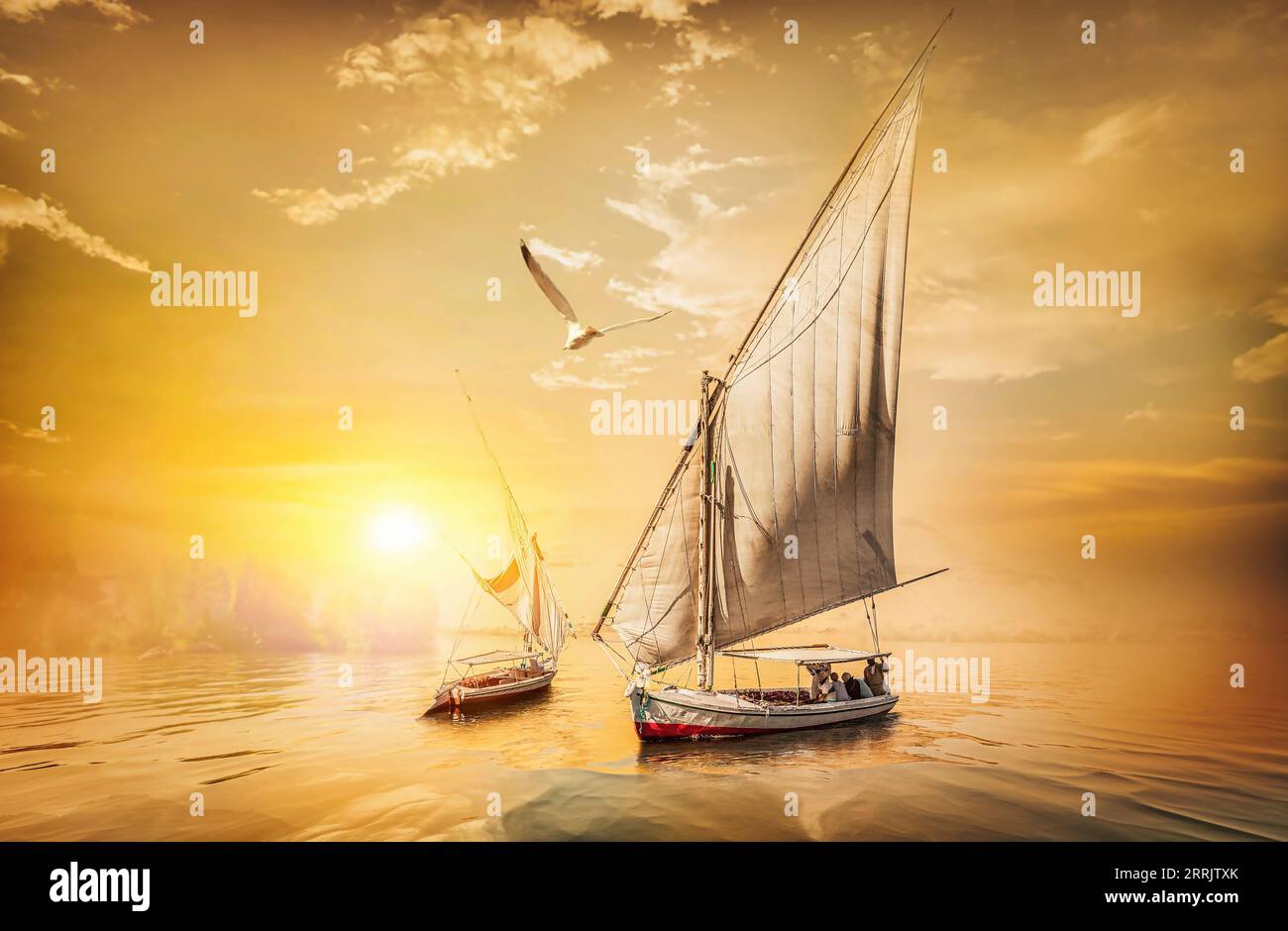 Bird over sailboats at fiery sunset on river Stock Photo