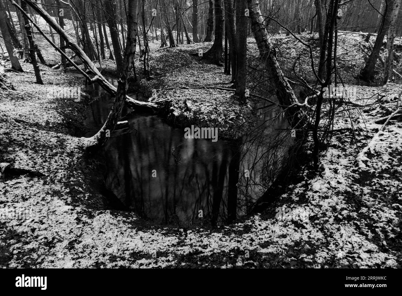 Small river in the forest in winter, black and white Stock Photo