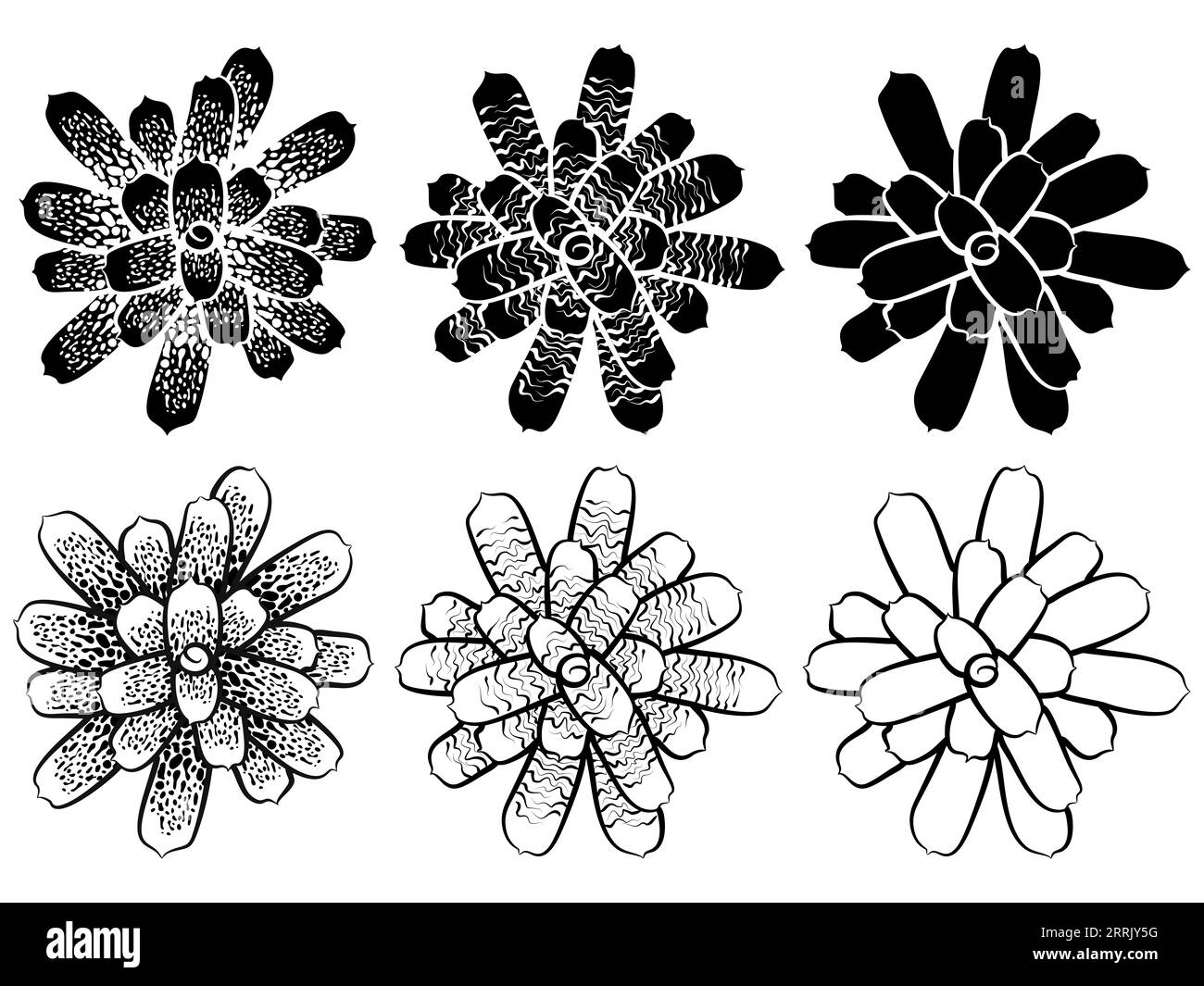 Positive plants Black and White Stock Photos & Images - Alamy