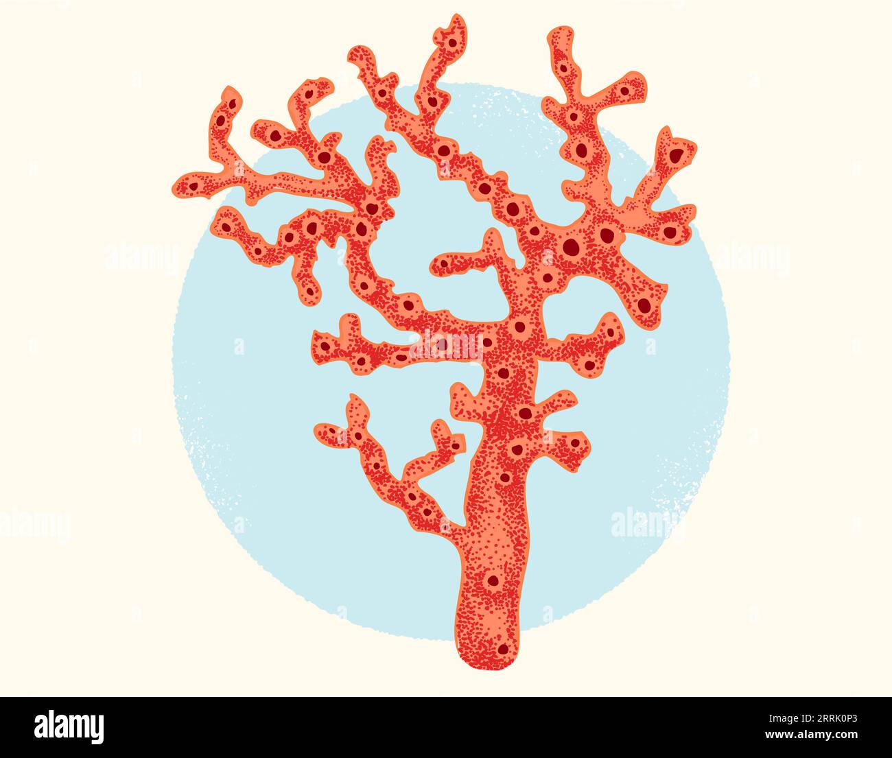 Vector vintage illustration of red coral. Retro poster with red coral