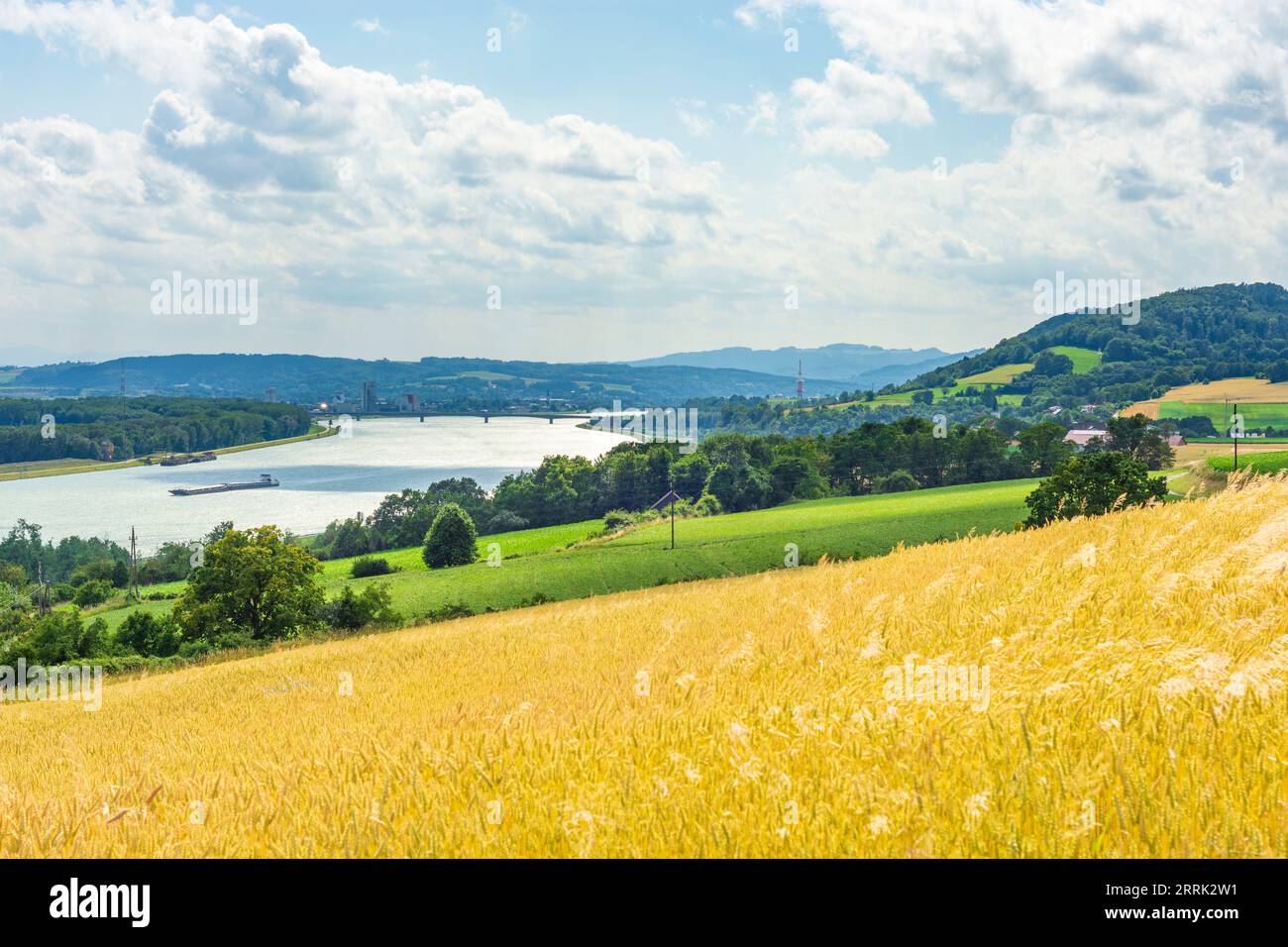 Pöchlarn, river Danube, view to Pöchlarn, field in Donau, Lower Austria, Austria Stock Photo