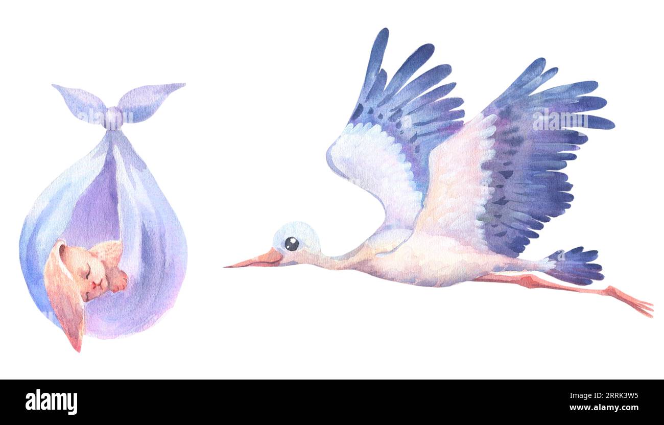 Watercolor hand painted flying white stork with sleeping baby bunny. Hand painted ciconia bird illustration isolated on white background Stock Photo