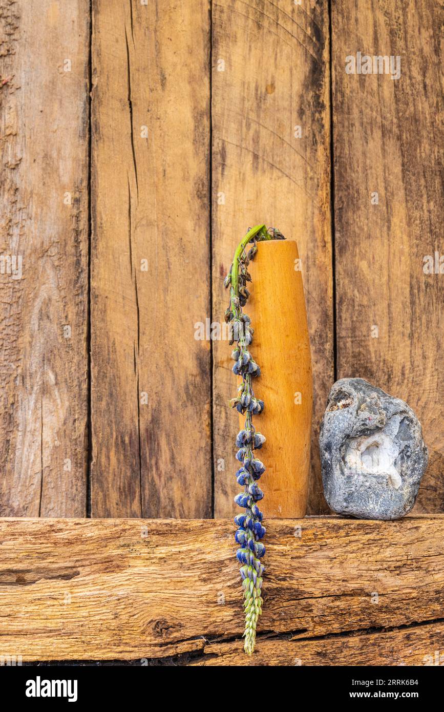 Still life with lupine in a wooden vase and flotsam and jetsam, wooden background, text free space Stock Photo