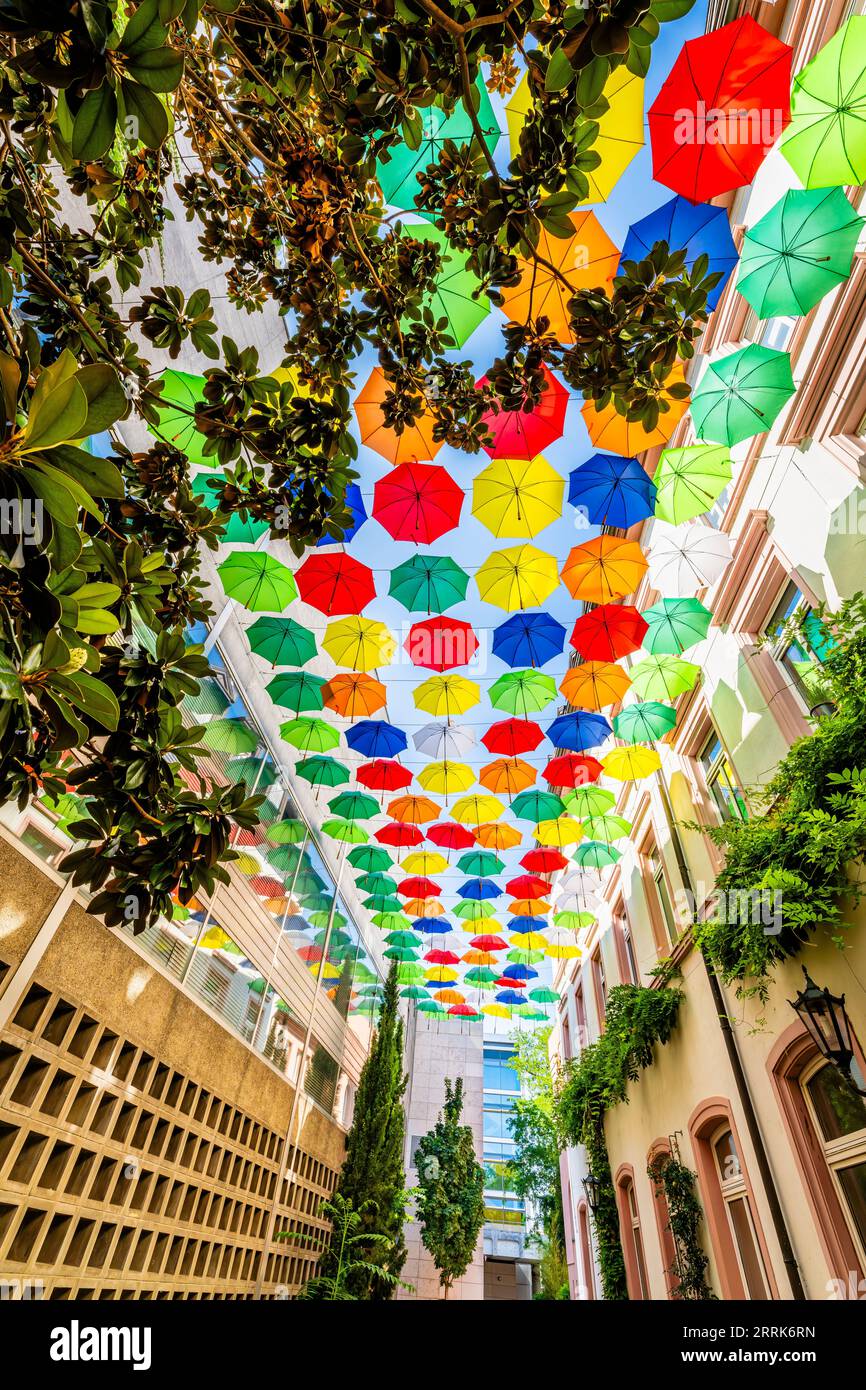 Umbrella art in the Rotekopfgasse in the old town of Mainz, a social