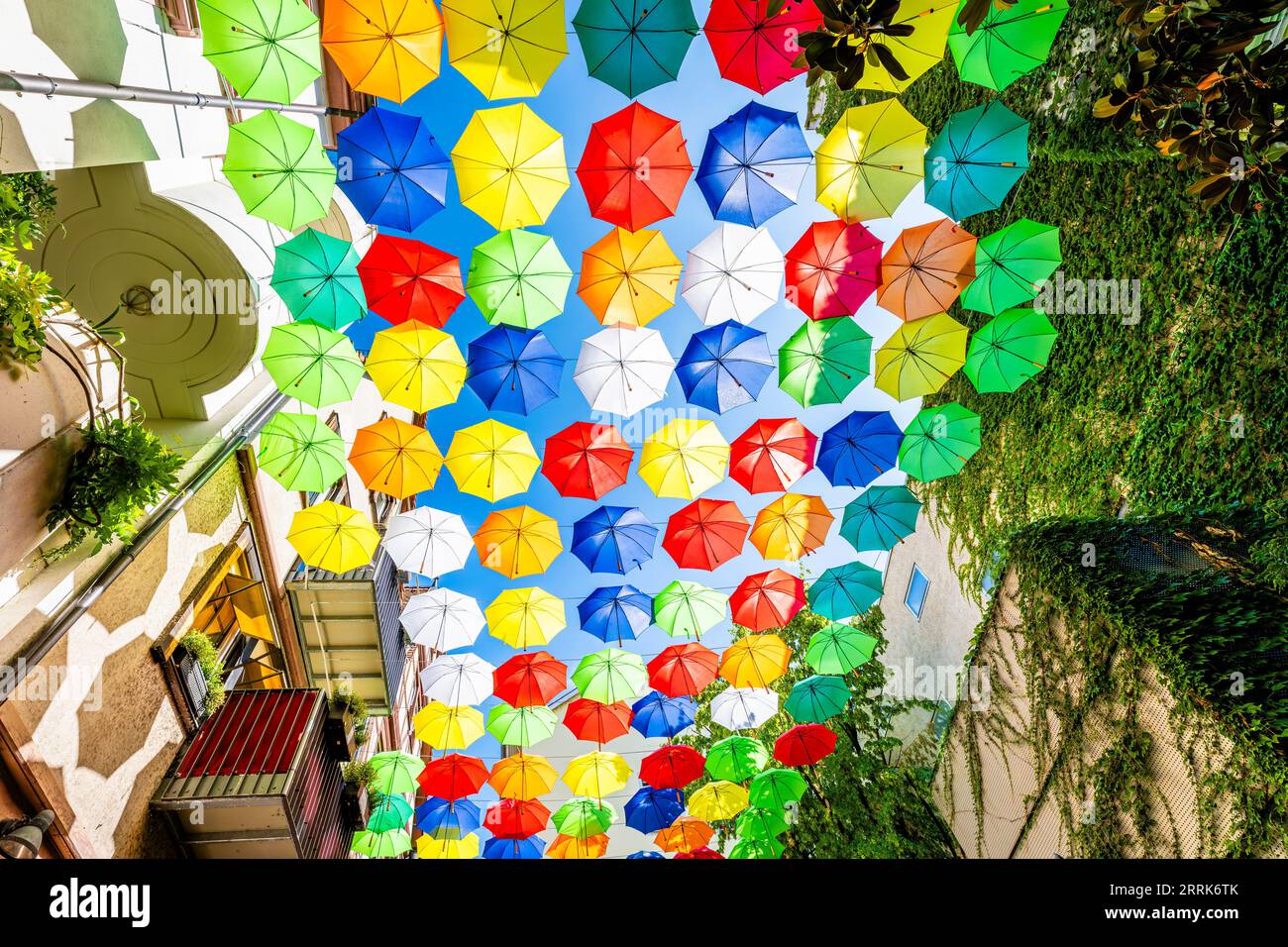 Umbrella art in the Rotekopfgasse in the old town of Mainz, a social