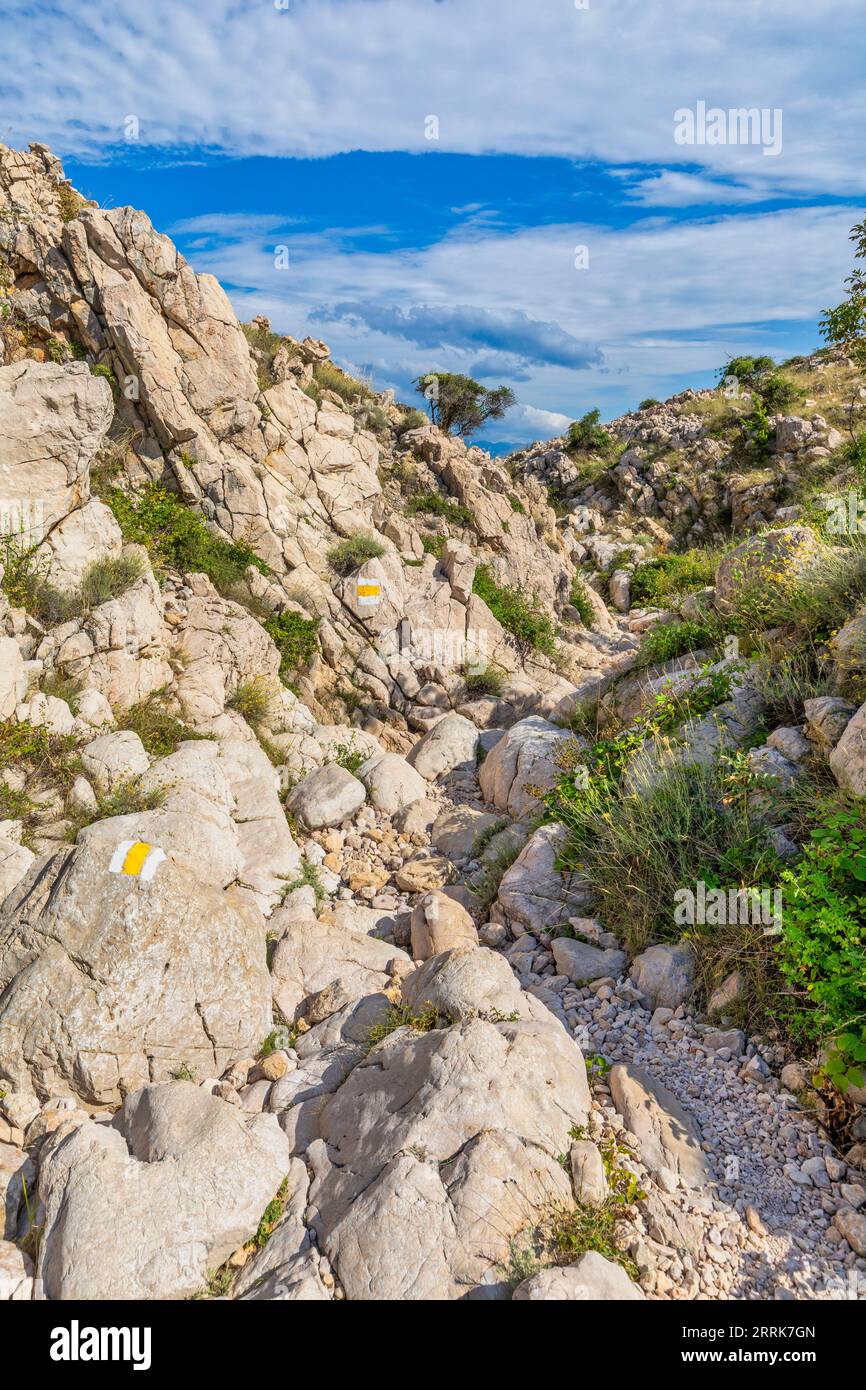 Croatia, Primorje-Gorski Kotar County, Krk island, Baska, the hiking trail along the Vela Vrzenica canyon Stock Photo