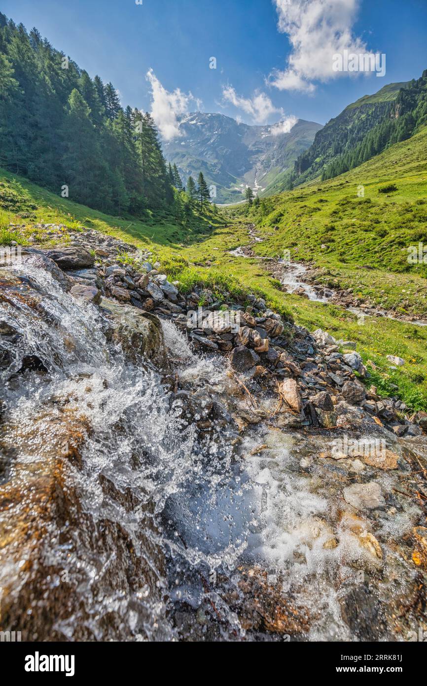 Austria, Tyrol, Innsbruck land, idyllic alpine landscape in the Schmirn valley with the Kasern stream and high-altitude pastures Stock Photo