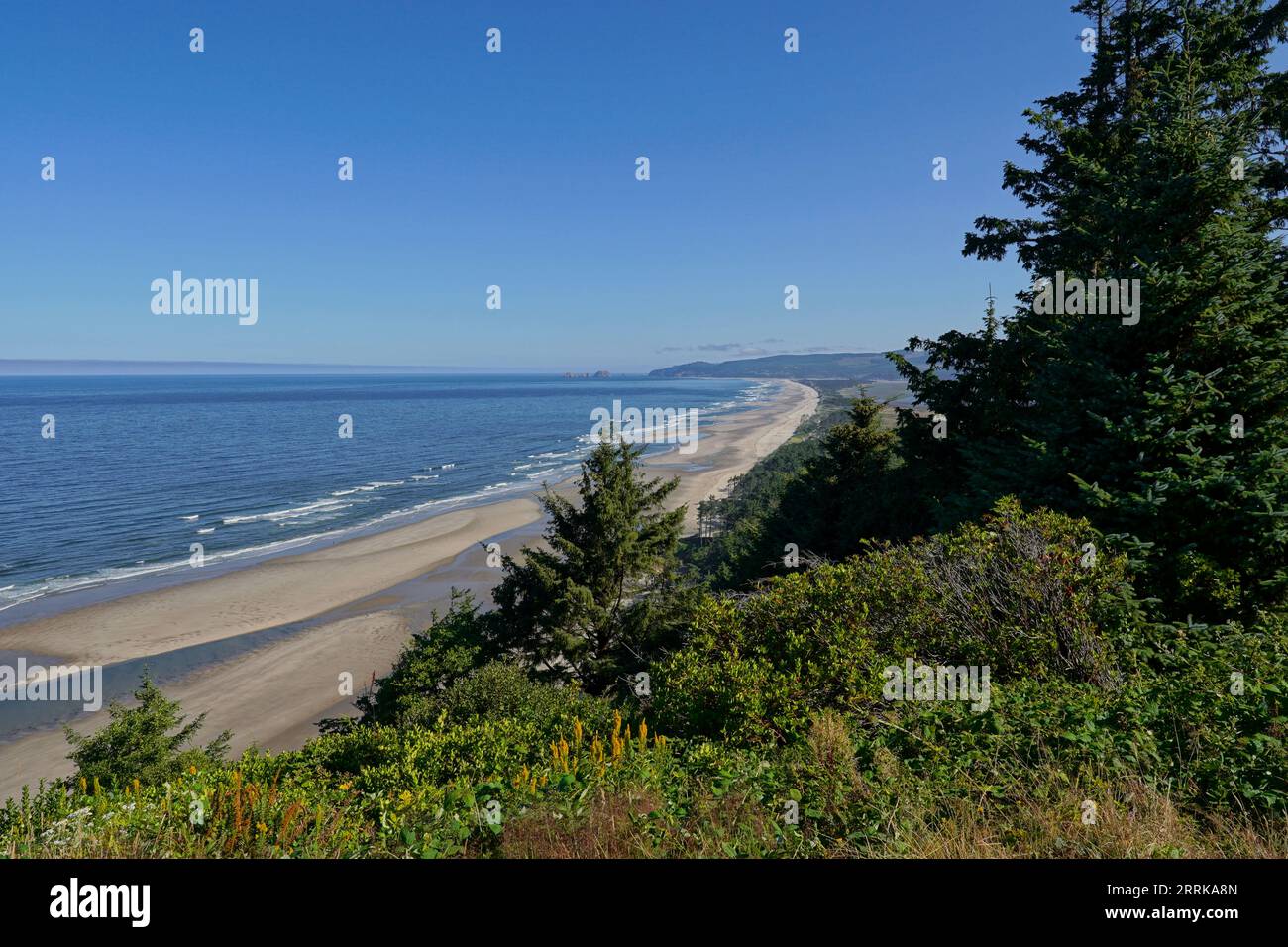 View of the Oregon Coast at Cape Lookout State Park Stock Photo