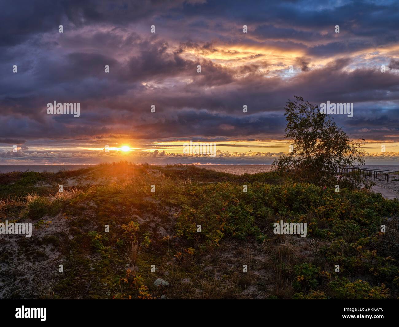 On the eastern beach of the fishing village of Pervalka on the Curonian Spit, Lithuania, Stock Photo