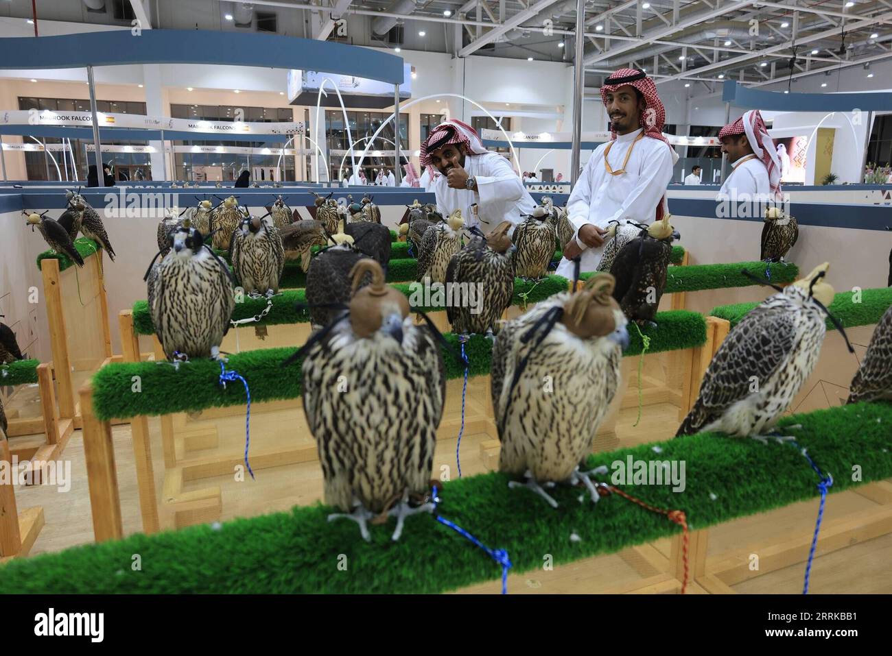 220828 -- RIYADH, Aug. 28, 2022 -- Falcons are seen at the ...