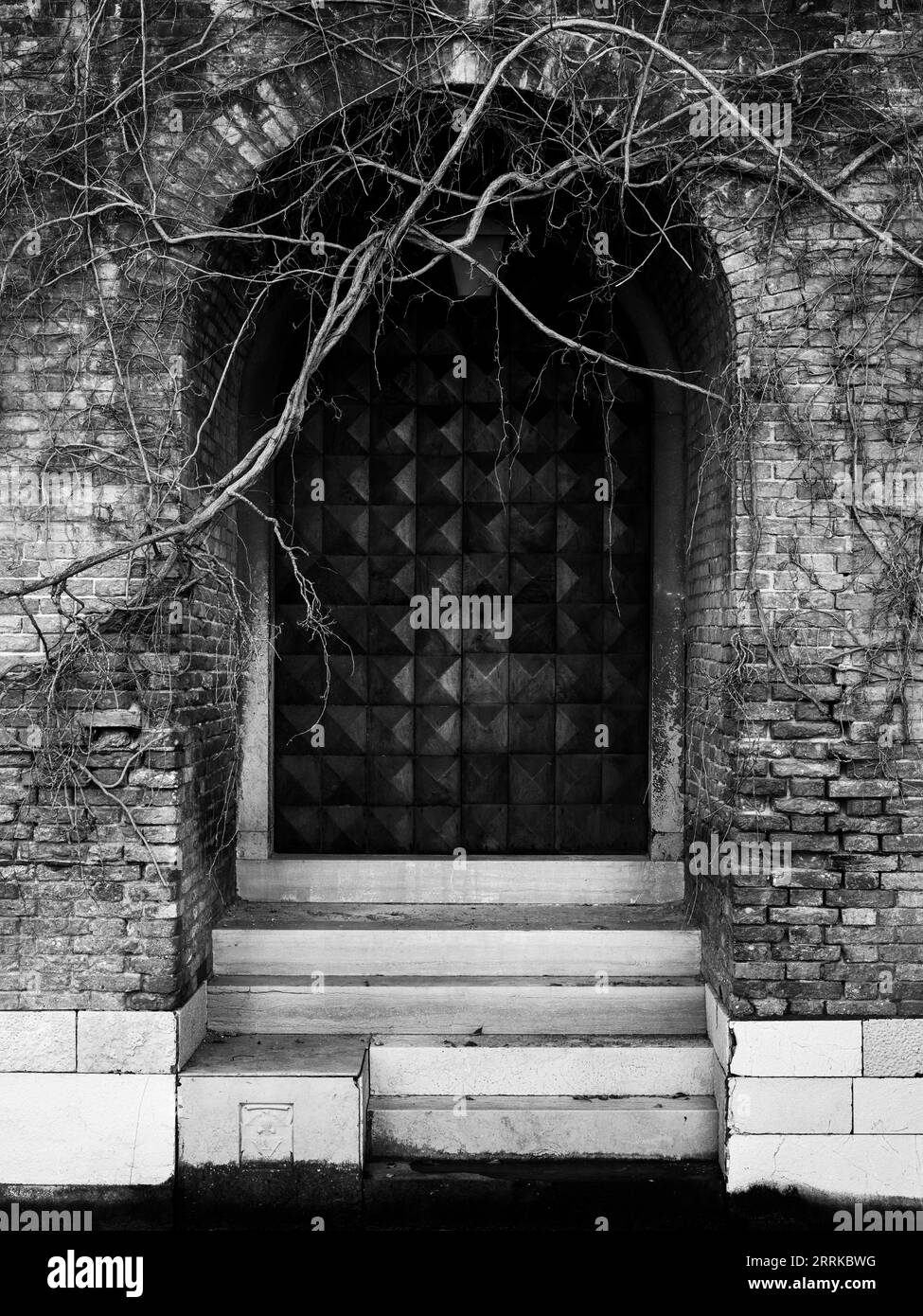 Entrance door at Santa Maria della Salute, Venice, Stock Photo