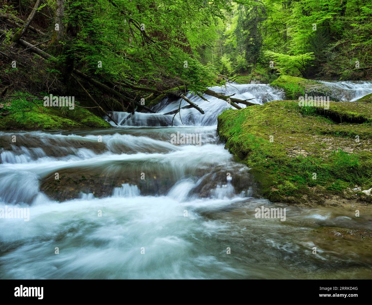 Geotope, nature reserve, NSG, FFH, FFH area, nature, river, water, river bank, waterfall, ice age, ravine, canyon, gorge, mountain forest, mountain, Alps, Allgäu, river landscape, mountain landscape Stock Photo