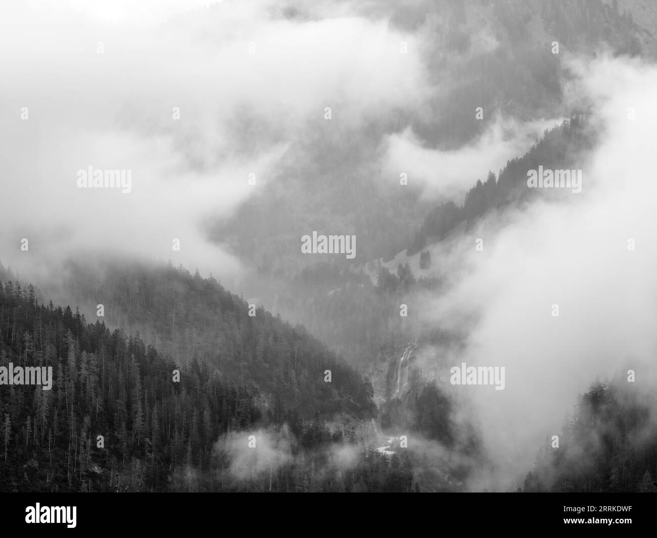 Forest Inaccessible Inaccessible forest Black and White Stock Photos & Images - Alamy