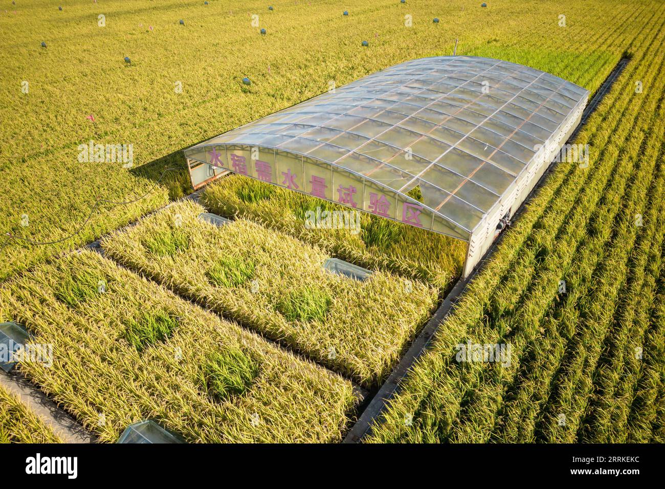 Experiment zone hi-res stock photography and images - Alamy