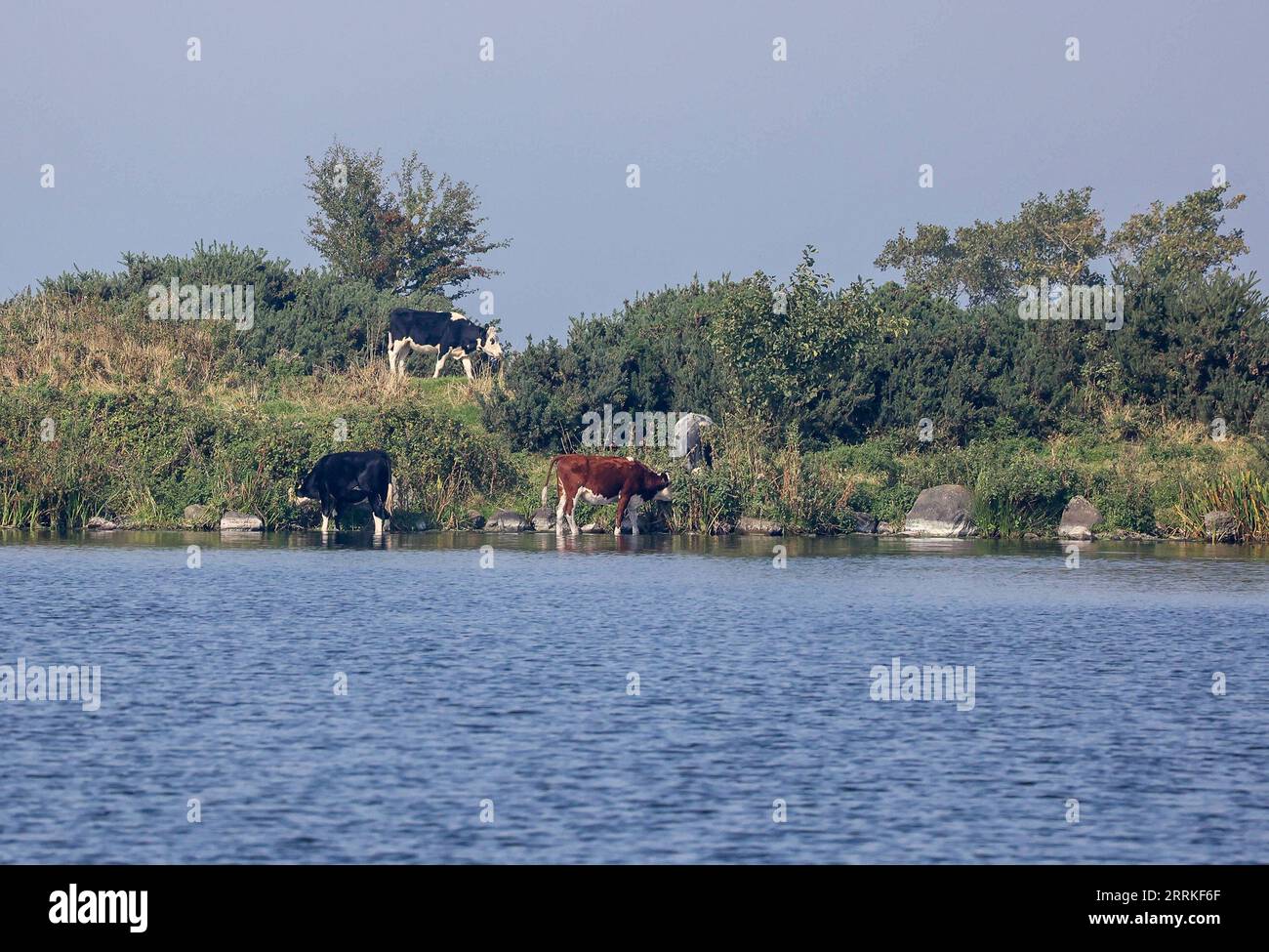 Weather ireland september 2023 hi res stock photography and images alamy