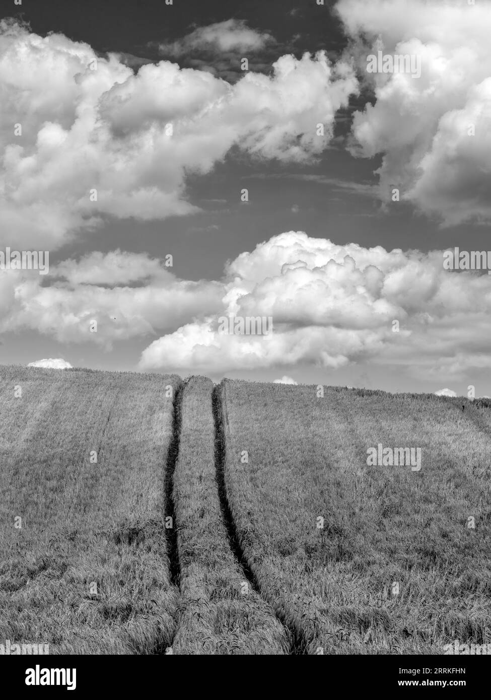 Cultural region Black and White Stock Photos & Images Alamy
