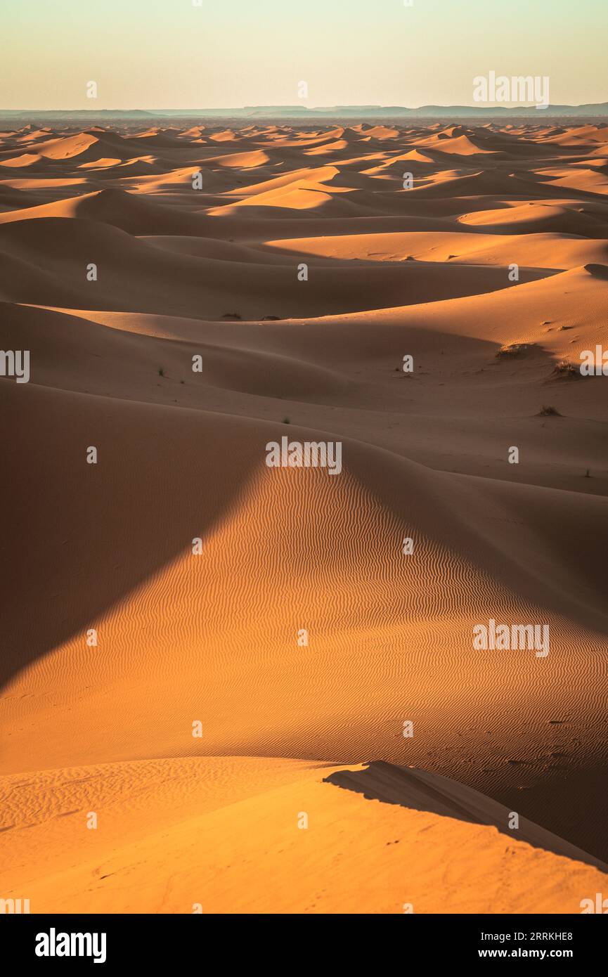 Morocco, southern Morocco, Chegagga, Sahara, desert, sunrise, sand, dunes, sand dunes Stock Photo