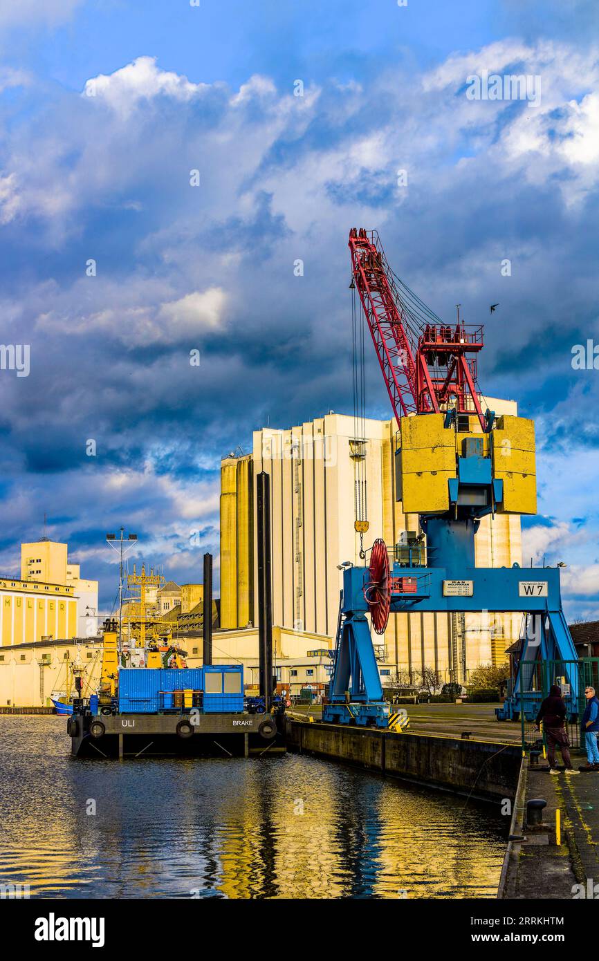 WINDOWS 8 I 10 NA LI CIE MENED ERA URZ DZE BRAK PORT W COM I LPT visual data 2