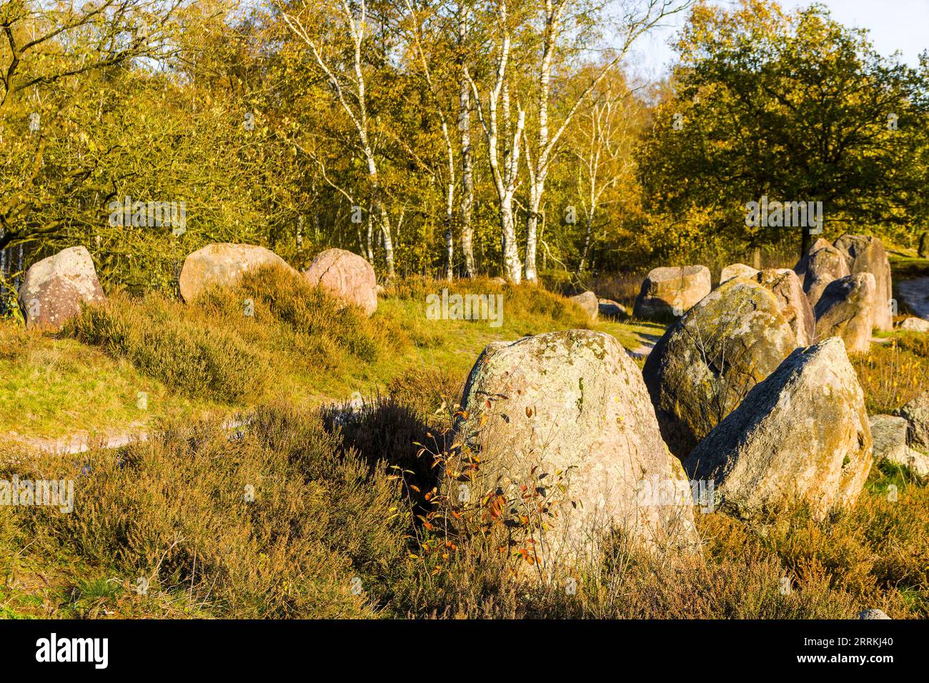 Stone setting 'Glaner Braut' from the Stone Age near Doetlingen Stock Photo