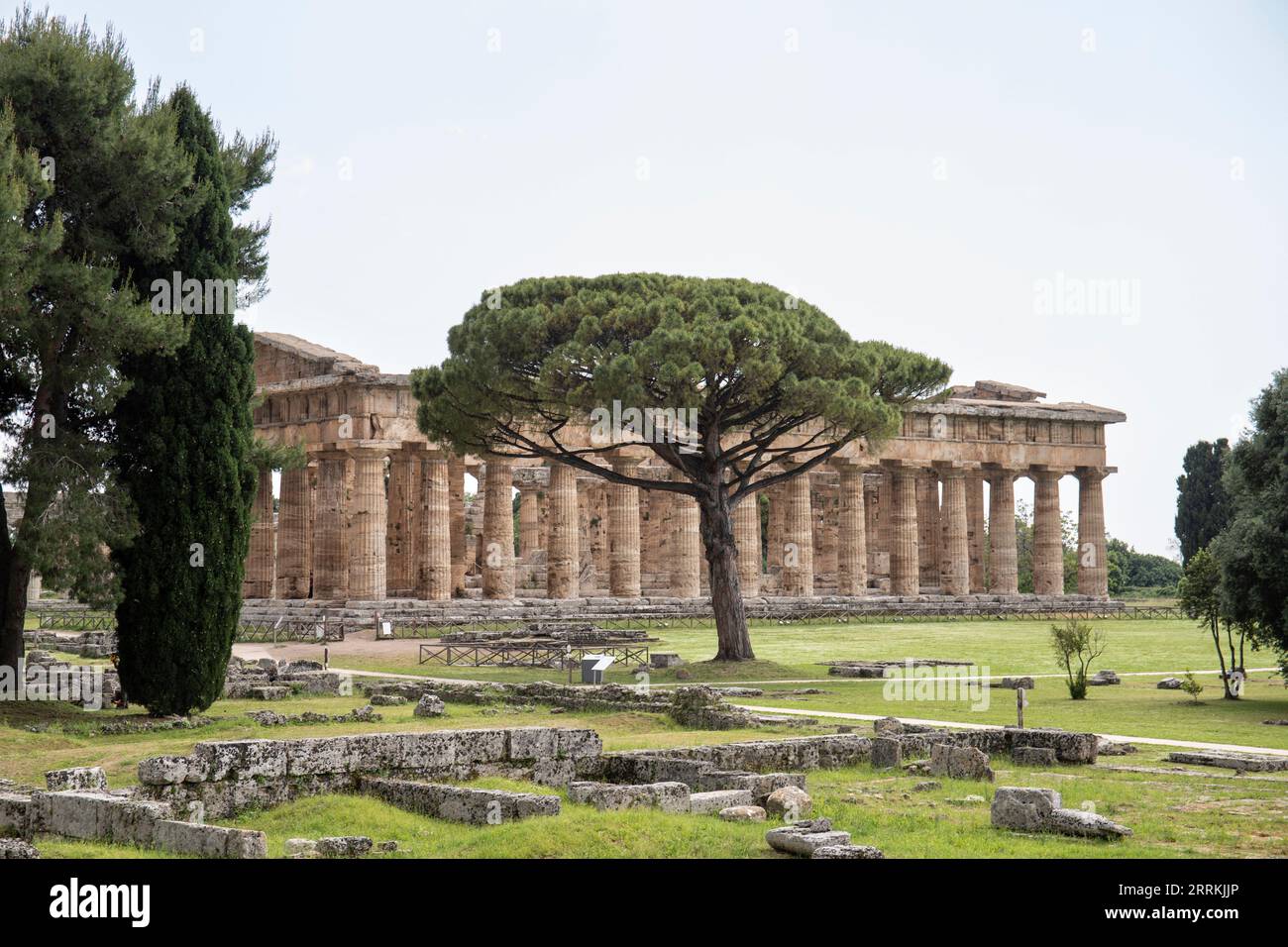 Paestum Archaeological Park, beautiful historical ruins of temples from the Roman period, Campania, Salerno, Italy Stock Photo