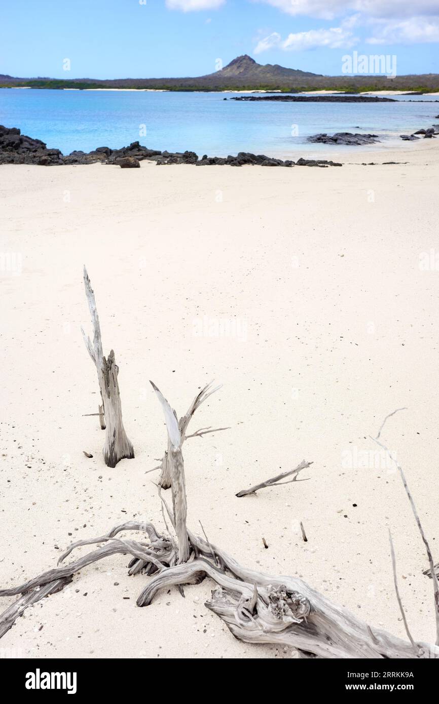 Beach on a beautiful uninhabited island, selective focus, Galapagos Islands, Ecuador. Stock Photo