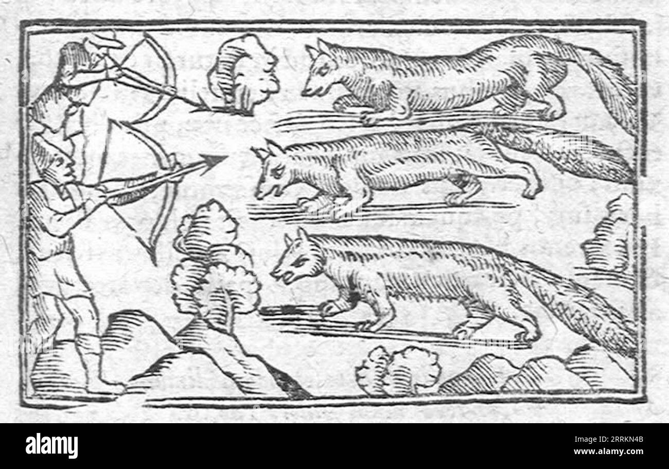 Historia de gentibus septentrionalibus, 1562 Stock Photo