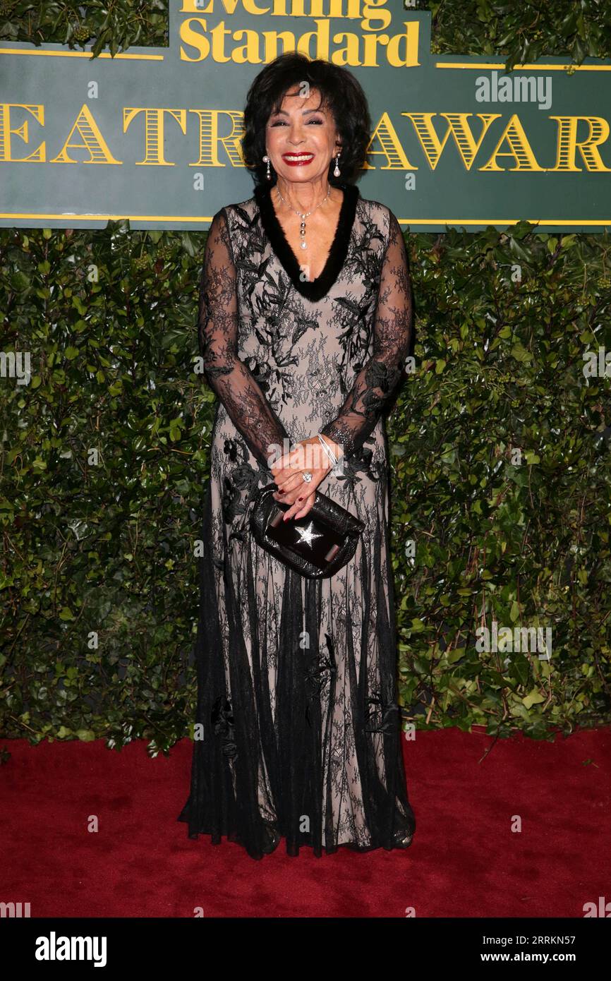 Dame Shirley Bassey attends the London Evening Standard Theatre Awards at Theatre Royal in London. Stock Photo