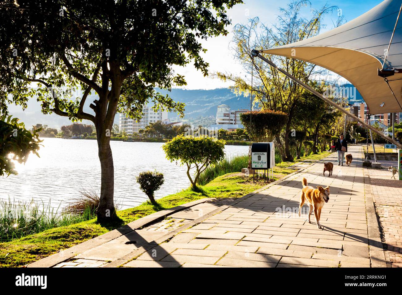 Paipa, Boyaca, Colombia – 8th of August 2023: Path of the Sochagota artificial lake built in 1956 to provide tourism potential for Paipa Stock Photo