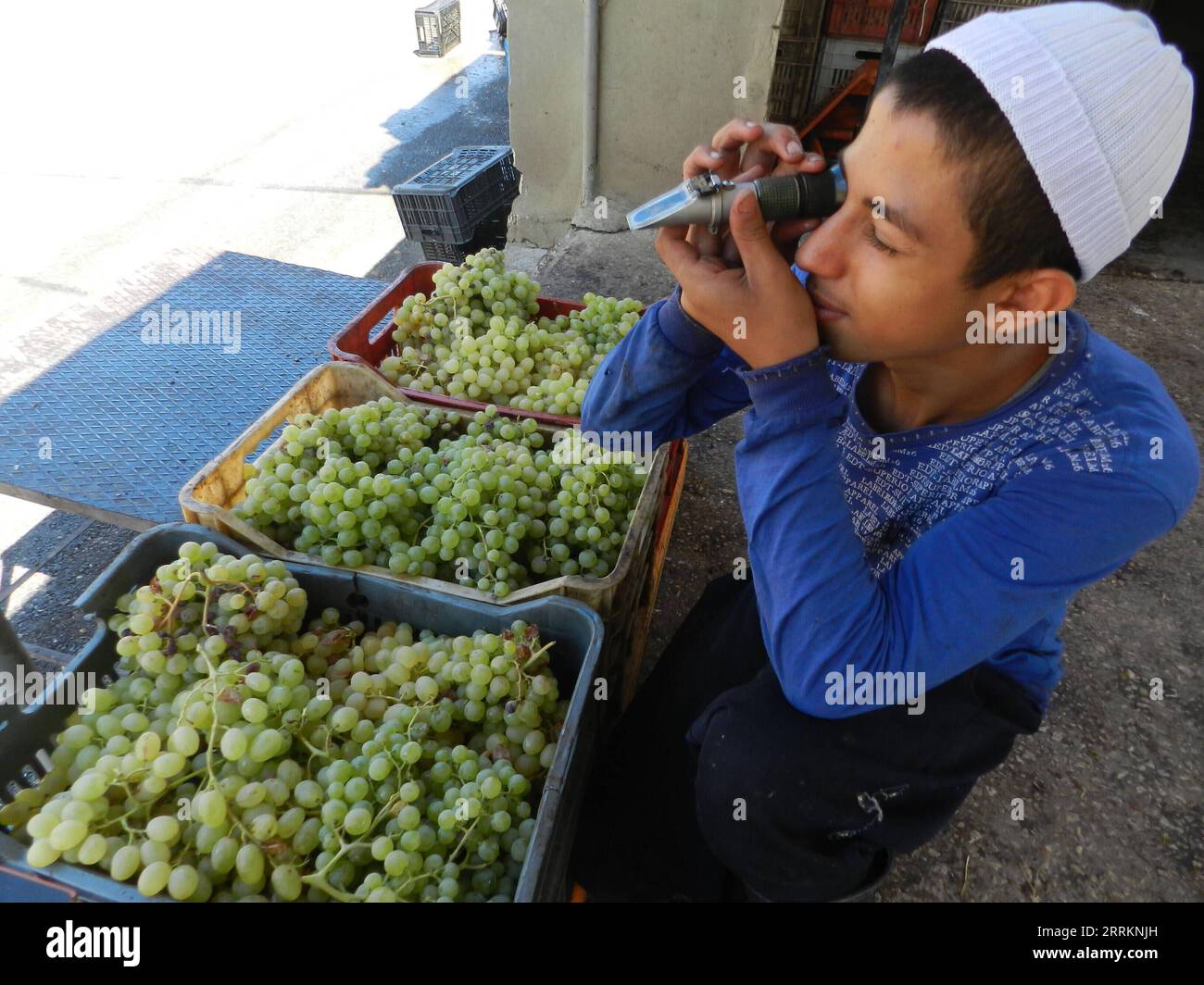 220915 -- BEIRUT, Sept. 15, 2022 -- Photo taken on Sept. 14, 2022 shows ...