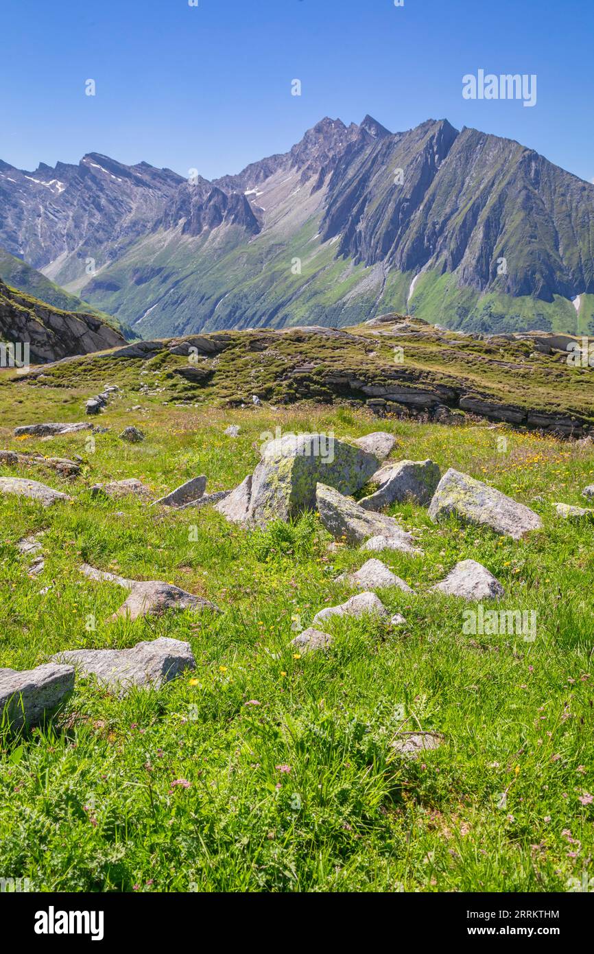 Italy, South Tyrol, passo di Vizze / Pfitscher Joch, some peaks of the Zillertal Alps, from left Röteck, Rotalpe and Engberg, in the right Rotes Beil and Pletzenspitz Stock Photo