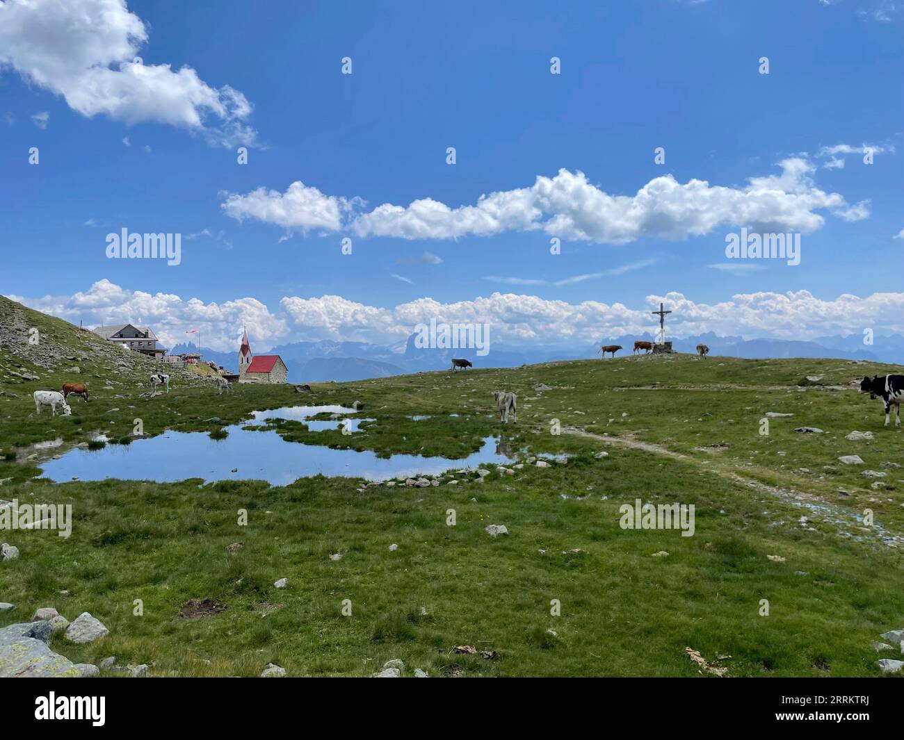 Hike to Latzfons Cross in South Tyrol, summit cross, small lake, cows, pilgrimage site, Sarntal Alps, 2300 m, viewpoint, Dolomites, Klausen, Latzfons, Wipptal, sun, mountains, clouds, nature, activity, Klausen, South Tyrol, Alto Adige, Italy Stock Photo