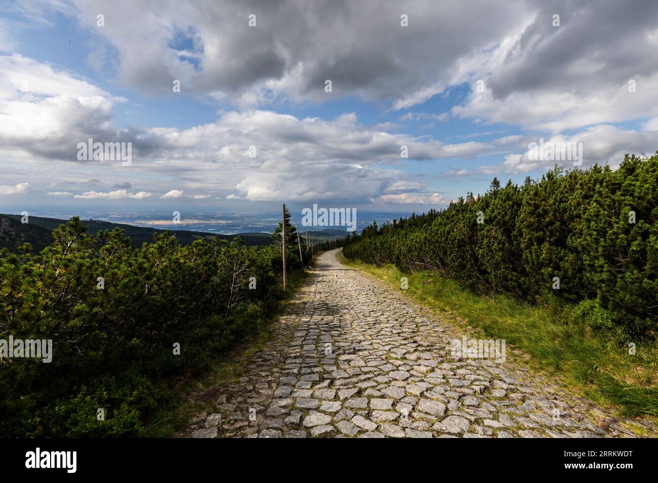 Europe, Poland, Lower Silesia, Giant Mountains, mountain trail near Sniezka Stock Photo