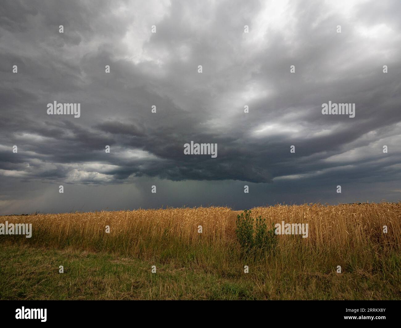 Thunderstorm cell over Thuringia. Stock Photo