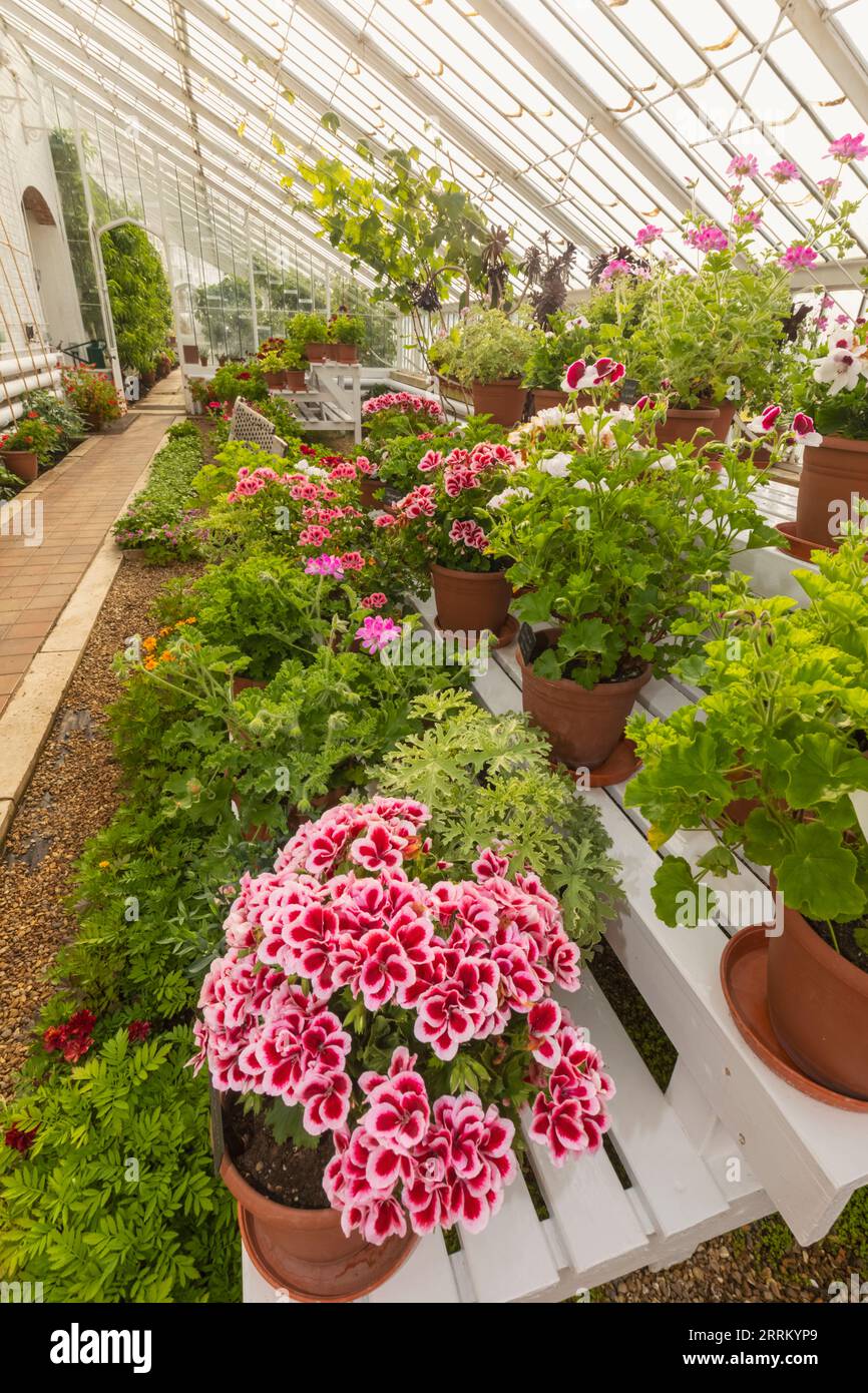 England, Sussex, West Sussex, Arundel, Arundel Castle, The Gardens, The